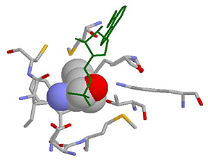 Donald Lab Graphic