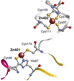 Donald Lab Graphic